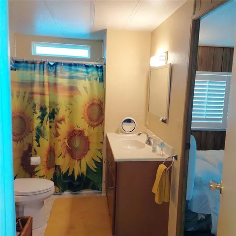Bath - 20182 Cot Rd #505, Lutz, FL 33558 photo 4 of 4