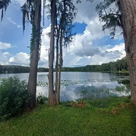 View/Area - 20182 Cot Rd #505, Lutz, FL 33558 photo 1 of 2