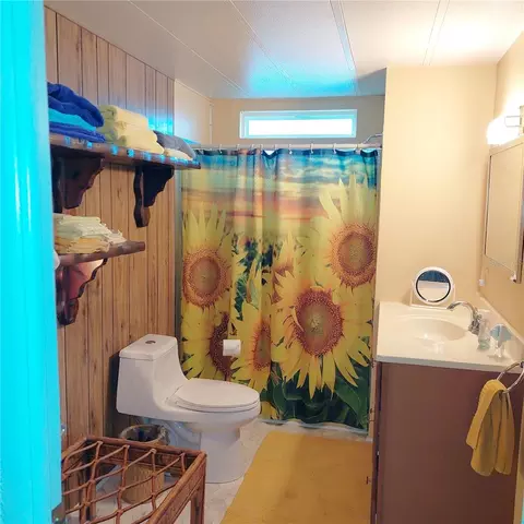 Bath - 20182 Cot Rd #505, Lutz, FL 33558 photo 3 of 4