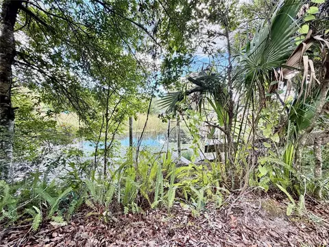 View/Area - 6464 Arbutus Ave, Weeki Wachee, FL 34607 photo 1 of 3
