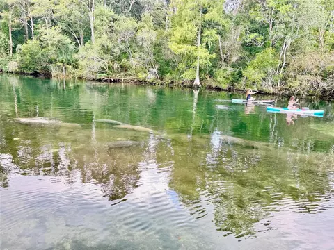 View/Area - 6464 Arbutus Ave, Weeki Wachee, FL 34607 photo 3 of 3
