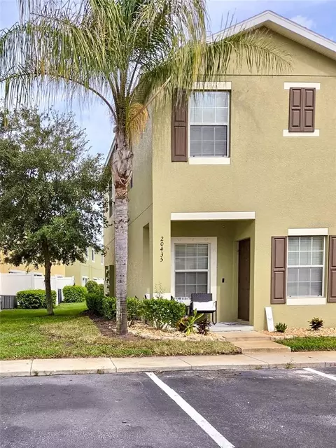 20435 Needletree Dr, Tampa, FL 33647