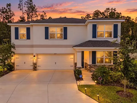 6847 Daintree Ct, Land O Lakes, FL 34638