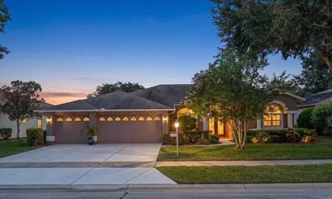 1237 Rambling Vine Ct, New Port Richey, FL 34655