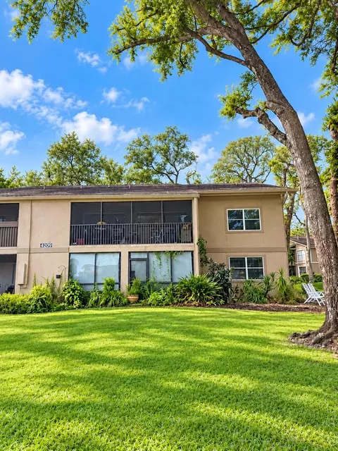 4209 Winding Moss Trl #201, Tampa, FL 33613