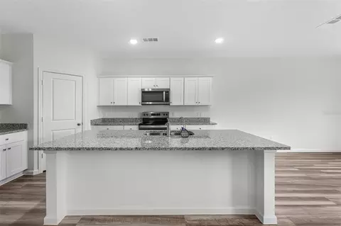 Kitchen - 10861 Curving Creek Loop, Parrish, FL 34219 photo 3 of 6