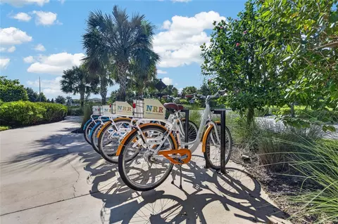 Other - 9125 Warm Springs Cir, Parrish, FL 34219 photo 15 of 17