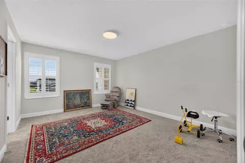 Other - 9125 Warm Springs Cir, Parrish, FL 34219 photo 9 of 17