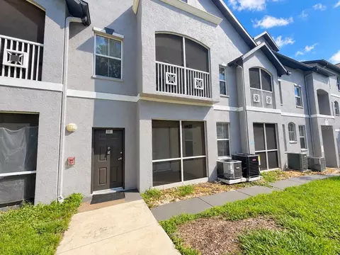 5001 Sunridge Palms Dr, Tampa, FL 33617