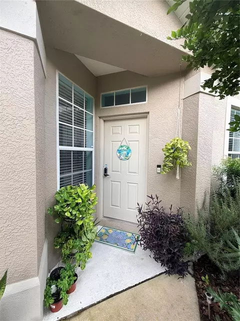 6237 Duck Key Ct, Tampa, FL 33625