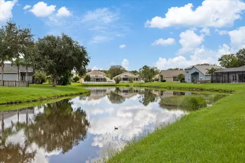 View/Area - 10704 Banfield Dr, Riverview, FL 33579 photo 8 of 8