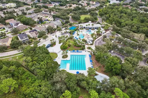View/Area - 6527 Bridgecrest Dr, Lithia, FL 33547 photo 3 of 3