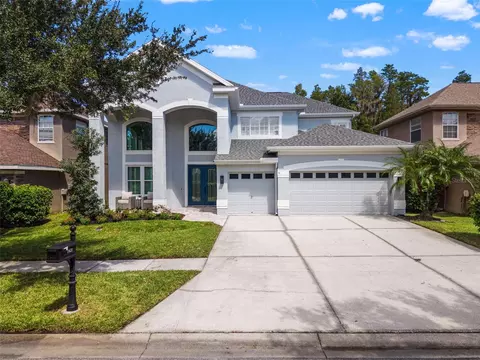 11621 Renaissance View Ct, Tampa, FL 33626