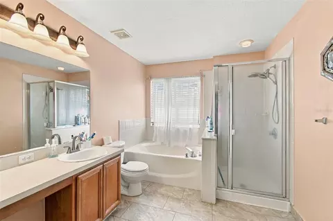 Bath - 11771 Mango Cross Ct, Seffner, FL 33584 photo 3 of 4