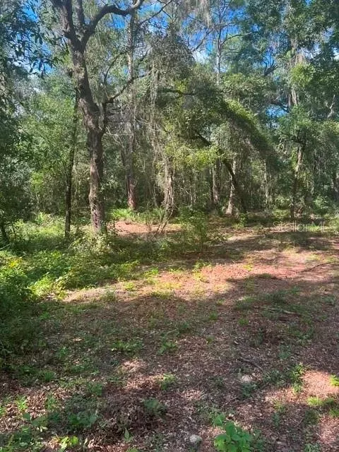 Elaine Drive, Webster, FL 33597 photo 4