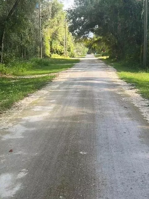 Elaine Drive, Webster, FL 33597 photo 2
