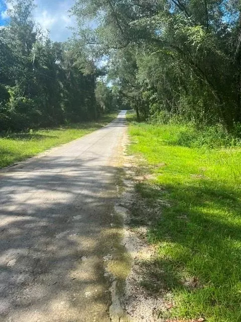 Elaine Drive, Webster, FL 33597 photo 3