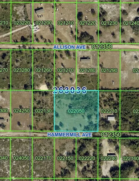 Hammermill Avenue, Lake Wales, FL 33859