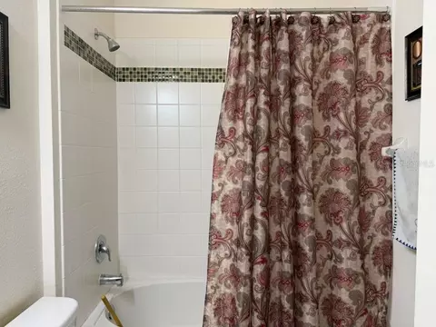 Bath - 8606 Deep Maple Dr, Riverview, FL 33578 photo 7 of 7