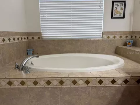 Bath - 8606 Deep Maple Dr, Riverview, FL 33578 photo 4 of 7