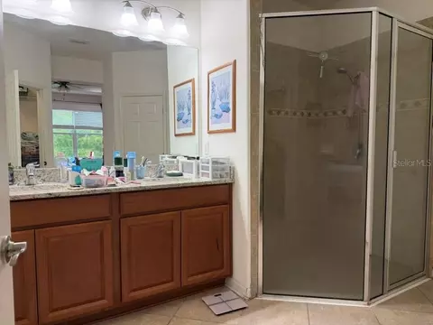 Bath - 8606 Deep Maple Dr, Riverview, FL 33578 photo 6 of 7