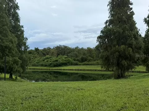 View/Area - 8606 Deep Maple Dr, Riverview, FL 33578 photo 1 of 1