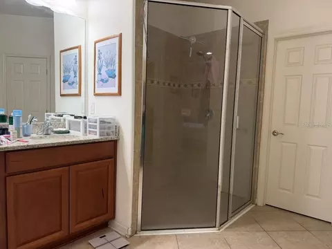 Bath - 8606 Deep Maple Dr, Riverview, FL 33578 photo 2 of 7