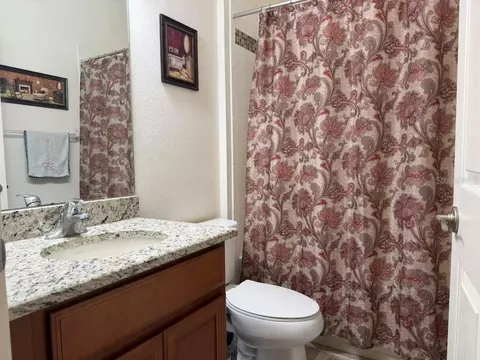 Bath - 8606 Deep Maple Dr, Riverview, FL 33578 photo 3 of 7
