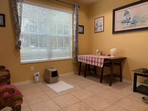 Other - 8606 Deep Maple Dr, Riverview, FL 33578 photo 1 of 8