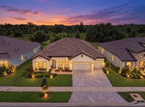 14537 Swiss Bridge Dr, Lithia, FL 33547