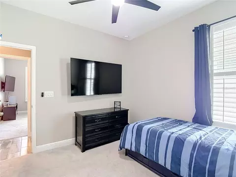 Bedroom - 813 Old Windsor Way, Spring Hill, FL 34609 photo 7 of 7