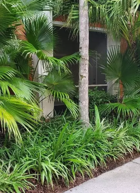 4207 S Dale Mabry Hwy S #5109, Tampa, FL 33611