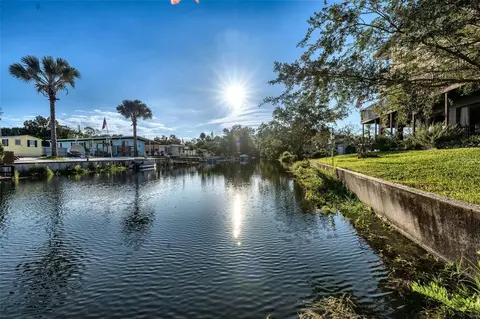 View/Area - 7247 Arbordale Dr, Weeki Wachee, FL 34607 photo 9 of 17
