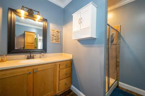 Bath - 7247 Arbordale Dr, Weeki Wachee, FL 34607 photo 7 of 7
