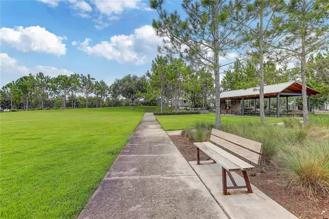 View/Area - 4000 Burdick Loop, Odessa, FL 33556 photo 9 of 15
