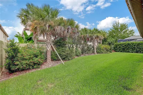 Exterior - 4000 Burdick Loop, Odessa, FL 33556 photo 5 of 22