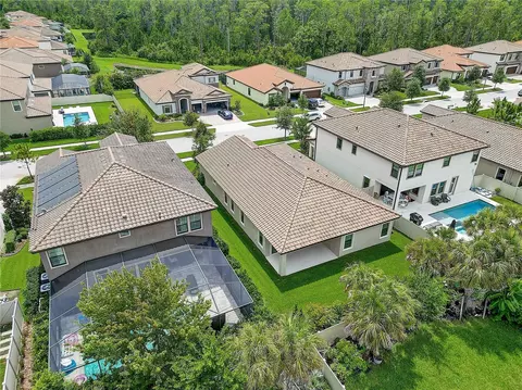 View/Area - 4000 Burdick Loop, Odessa, FL 33556 photo 5 of 15