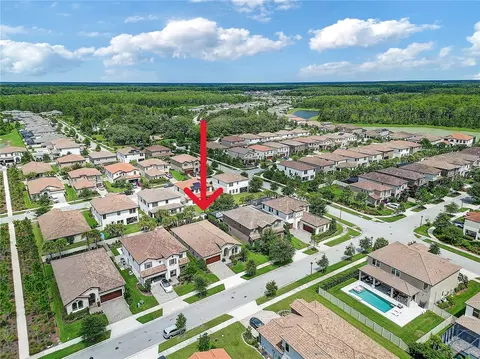View/Area - 4000 Burdick Loop, Odessa, FL 33556 photo 3 of 15