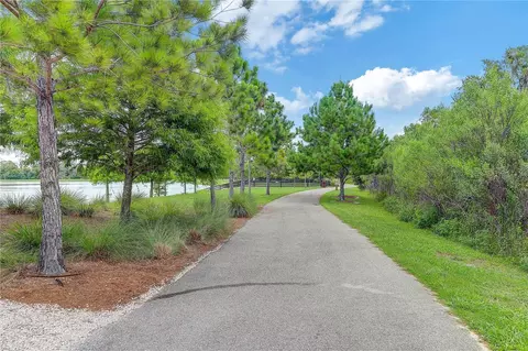 Other - 4000 Burdick Loop, Odessa, FL 33556 photo 18 of 18