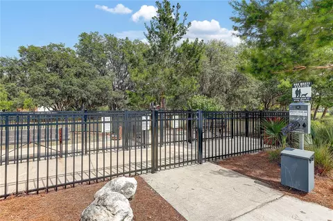 Other - 4000 Burdick Loop, Odessa, FL 33556 photo 17 of 18