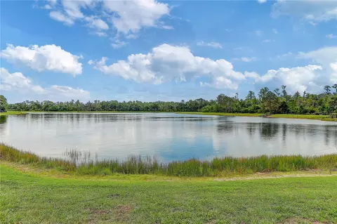 View/Area - 4000 Burdick Loop, Odessa, FL 33556 photo 7 of 15