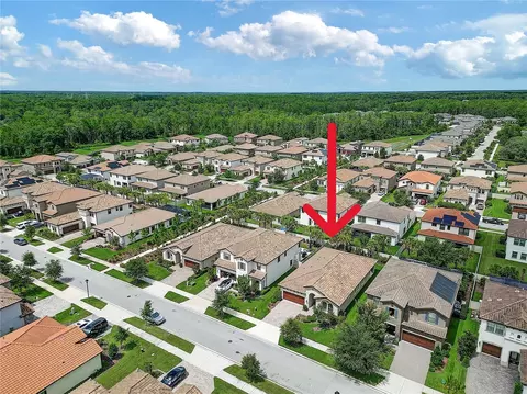 View/Area - 4000 Burdick Loop, Odessa, FL 33556 photo 4 of 15