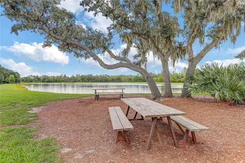 View/Area - 4000 Burdick Loop, Odessa, FL 33556 photo 8 of 15