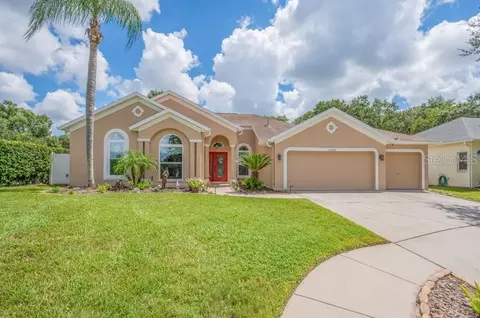 1001 Split Silk St, Valrico, FL 33594