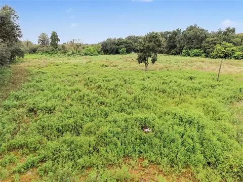 6560 Stark Rd, Seffner, FL 33584 photo 6