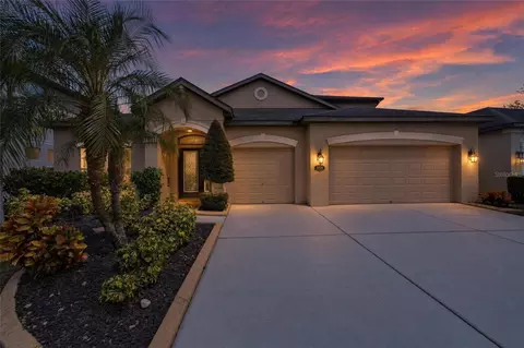 Exterior - 11520 Scarlet Ibis Pl, Riverview, FL 33569 photo 2 of 10