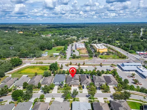 View/Area - 11520 Scarlet Ibis Pl, Riverview, FL 33569 photo 5 of 11