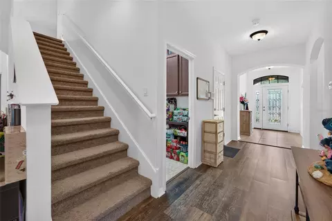 Entry Way - 11520 Scarlet Ibis Pl, Riverview, FL 33569 photo 4 of 7