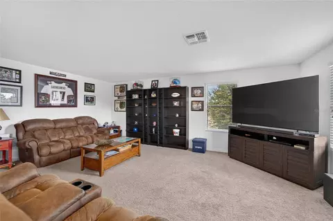 Other - 11520 Scarlet Ibis Pl, Riverview, FL 33569 photo 4 of 15