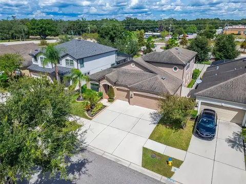 View/Area - 11520 Scarlet Ibis Pl, Riverview, FL 33569 photo 2 of 11